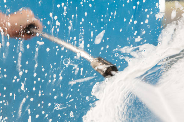Animal Enclosure Cleaning in Buckeye, AZ
